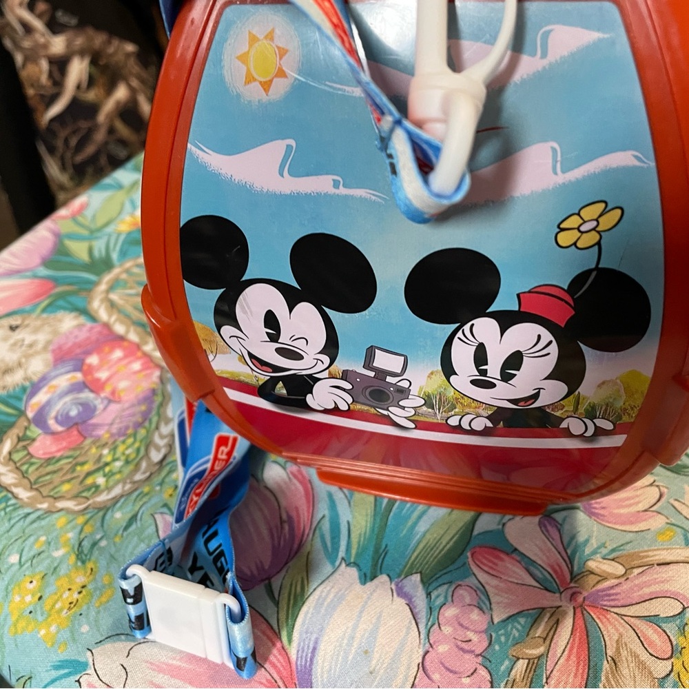 Disney world was popcorn  bucket